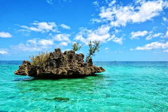 Plage paradisiaque à l'île Maurice avec eaux turquoise et sable fin
